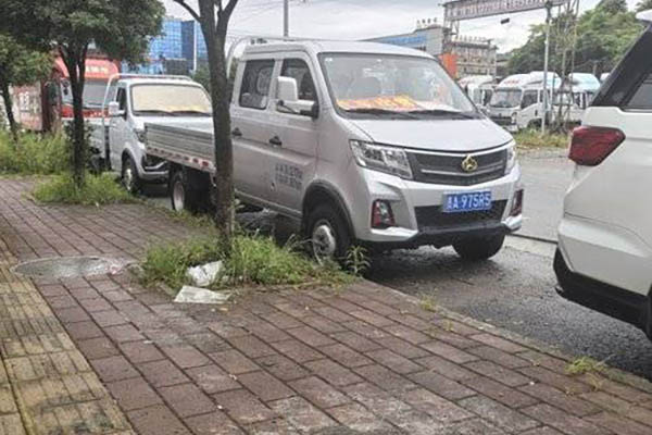 Changan X3 PLUS 2022 Flagship Model, 1.6L Gasoline, 122HP, 2.55m Double-Row Sideboard Mini Truck (Na for sale