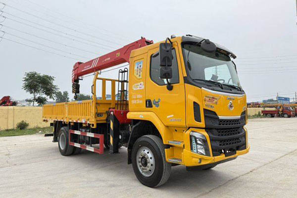Dongfeng Liuzhou Chenglong Truck Crane Chenglong M3 200 5 6X2