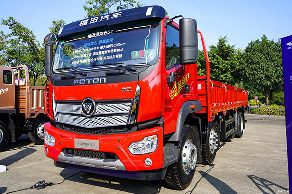 Ruiwo Shenglong ES7 cargo truck