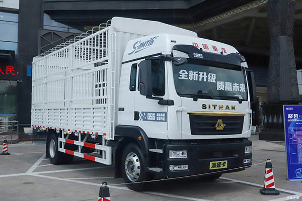 Sinotruk Shandeka SITRAKG5S truck for sale